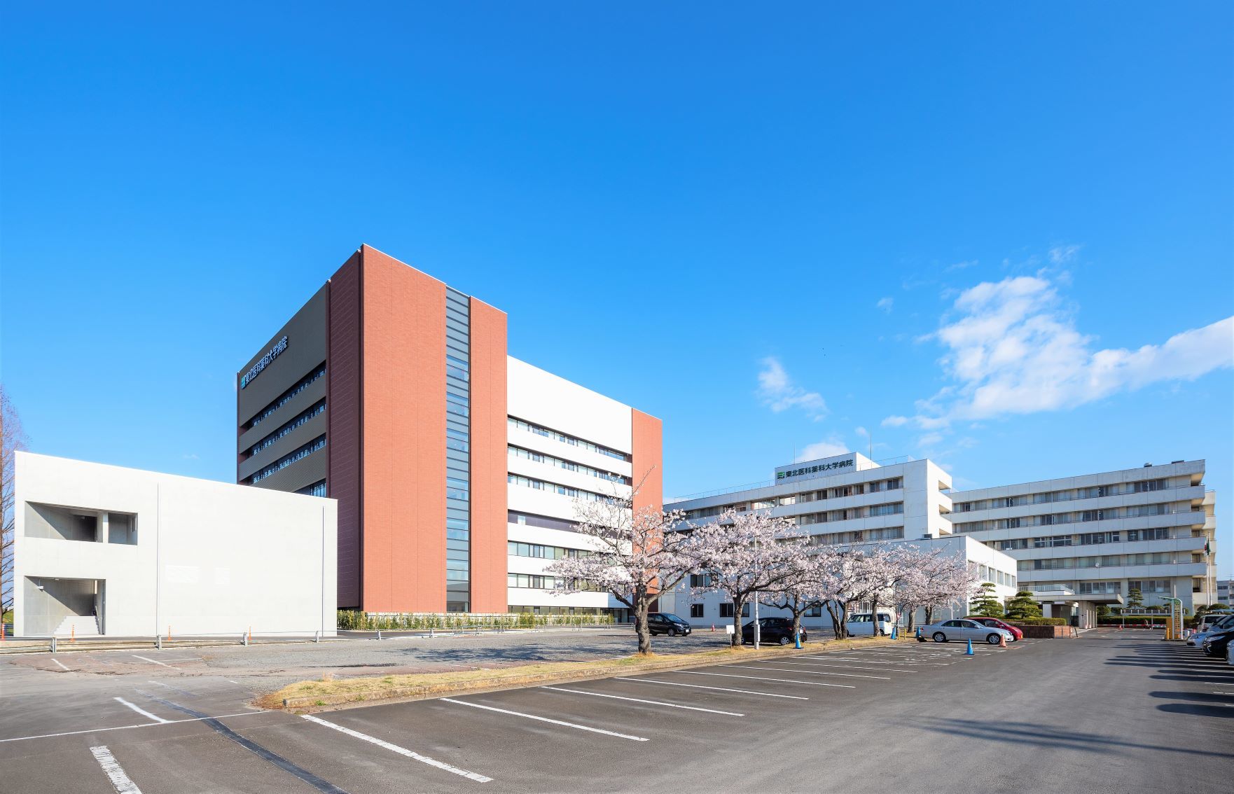 東北医科薬科大学病院