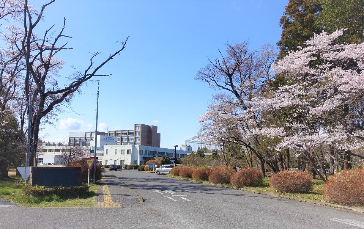 宇都宮病院