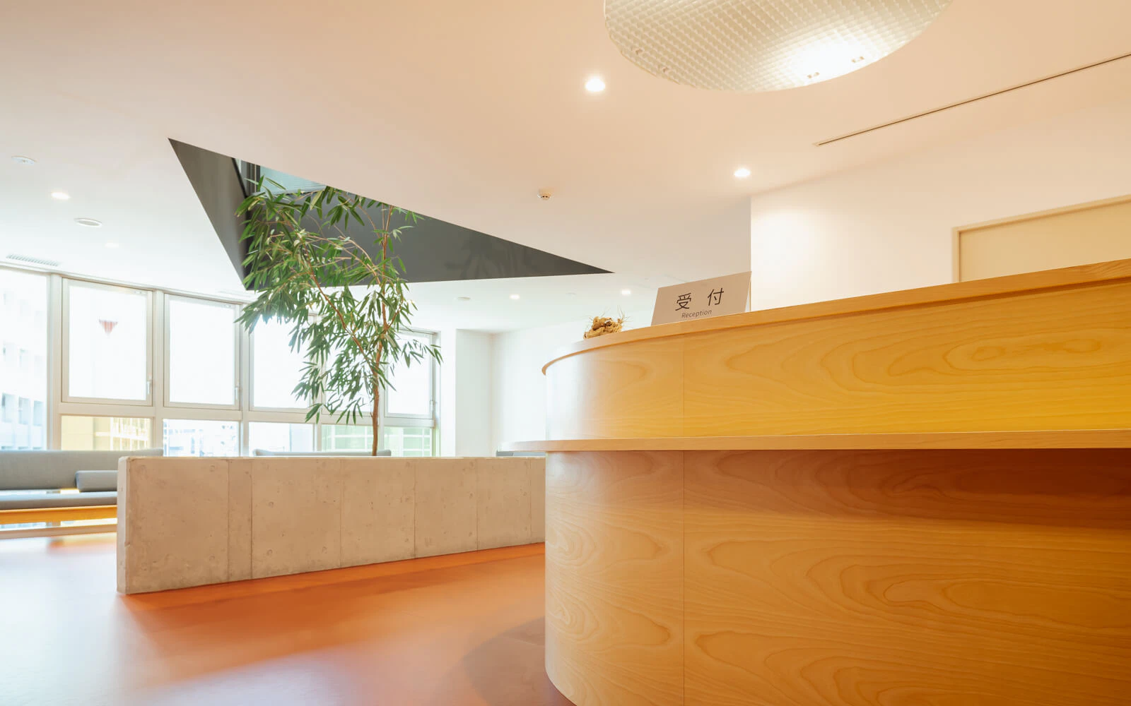 医療法人蒼優会ＮＬＣ野中腰痛クリニック